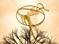 kerryarmstrong1